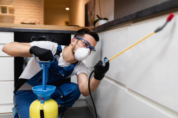 Best Pest Inspection Near Me  in Bellwood, PA