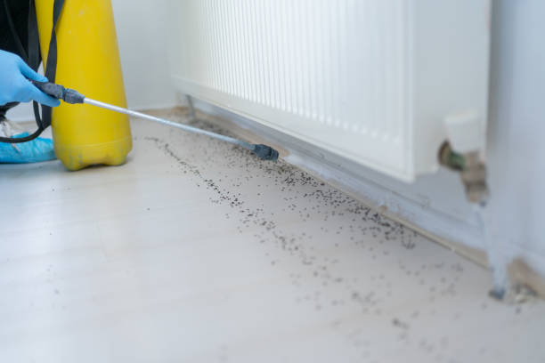 Pest Control for Restaurants in Bellwood, PA