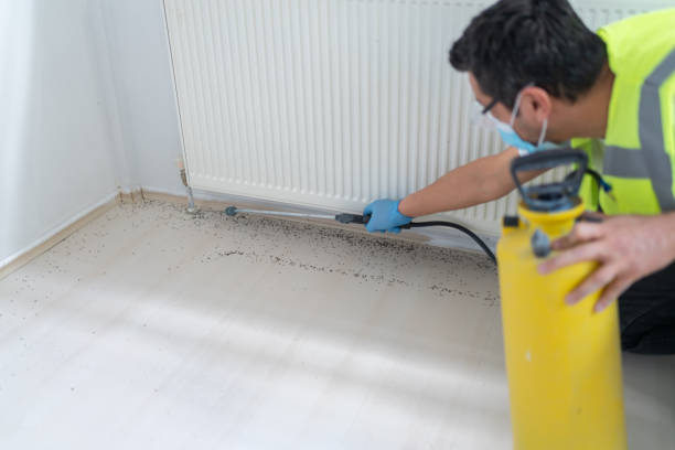 Best Best Pest Control Companies  in Bellwood, PA