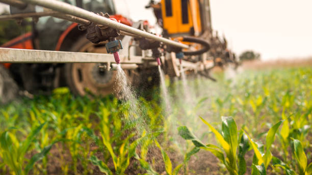 Best Pest Removal Services  in Bellwood, PA